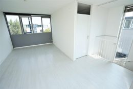 Grauwe Gans 27