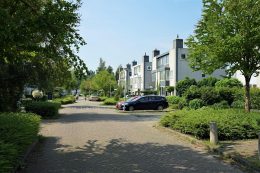 Grauwe Gans 27