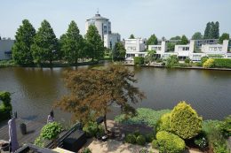 Grauwe Gans 27