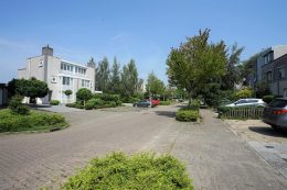 Grauwe Gans 27