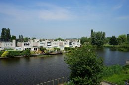 Grauwe Gans 27