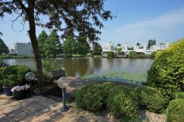 Grauwe Gans 27