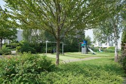 Grauwe Gans 27