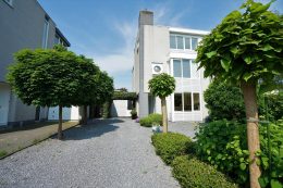 Grauwe Gans 27