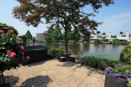 Grauwe Gans 27
