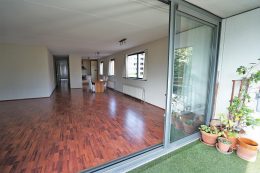 Laan van Deshima 52