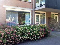 Zeelandiahoeve 287
