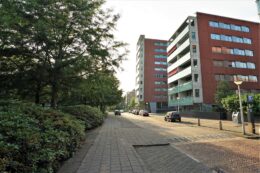 Laan van Deshima 65