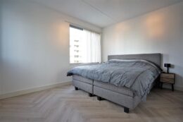 Laan van Deshima 65