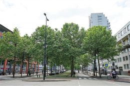 C. van Eesterenlaan 312